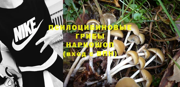 скорость Снежинск
