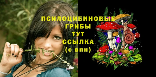 экстази Снежногорск