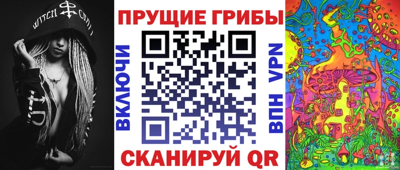 Галлюциногенные грибы MAGIC MUSHROOMS  магазин продажи   Шимановск 